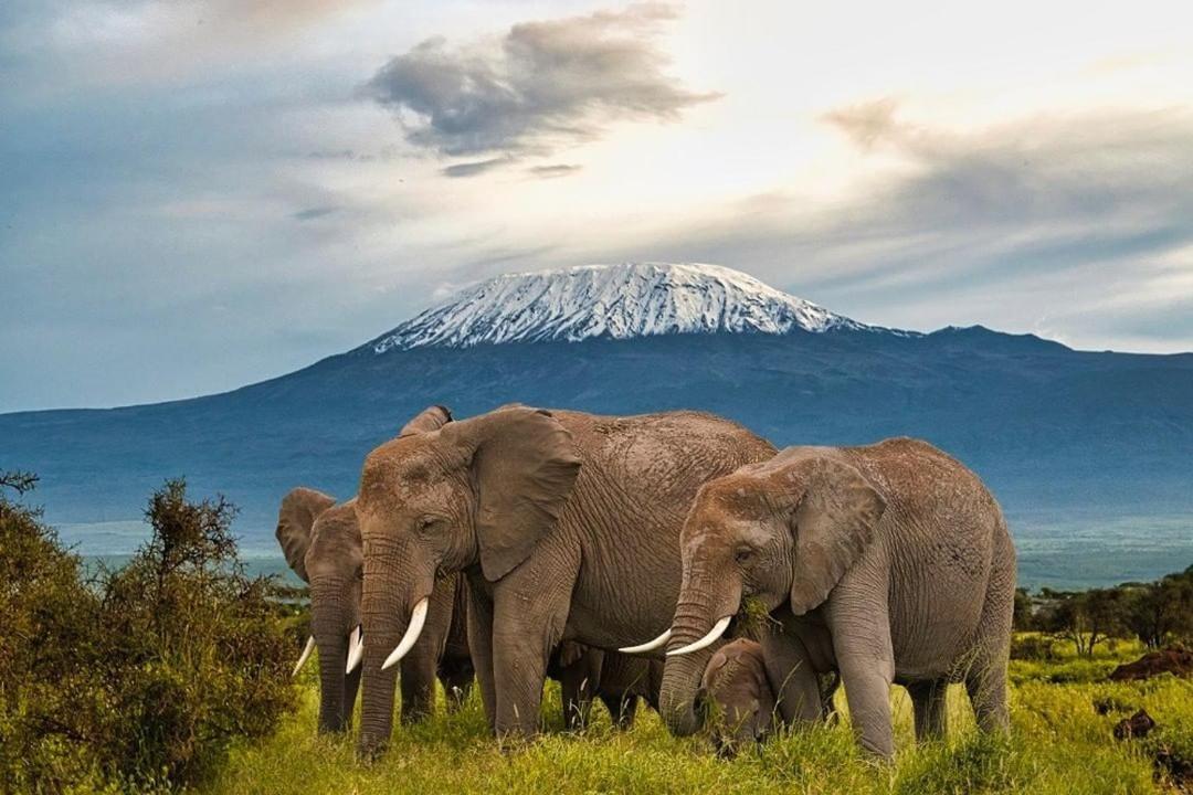 Amboseli Cultural Camping Экстерьер фото