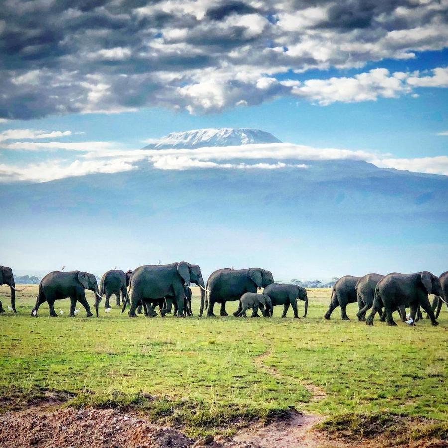 Отель Amboseli Cultural Camping Экстерьер фото