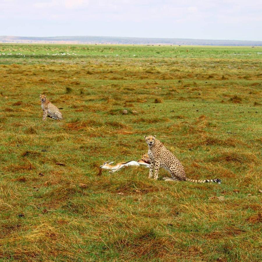 Отель Amboseli Cultural Camping Экстерьер фото